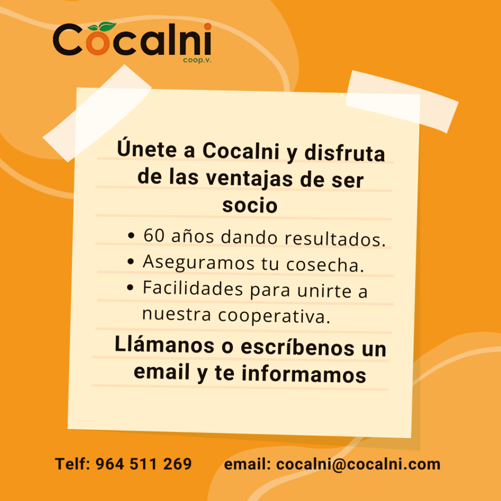 Únete a Cocalni
