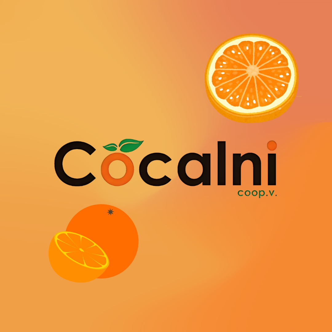 Cocalni Cooperativa Naranjas y otros cítricos