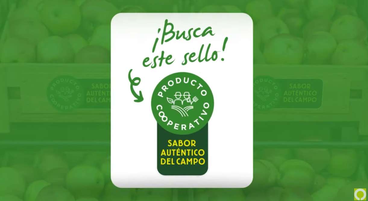 Producto Cooperativo 2024