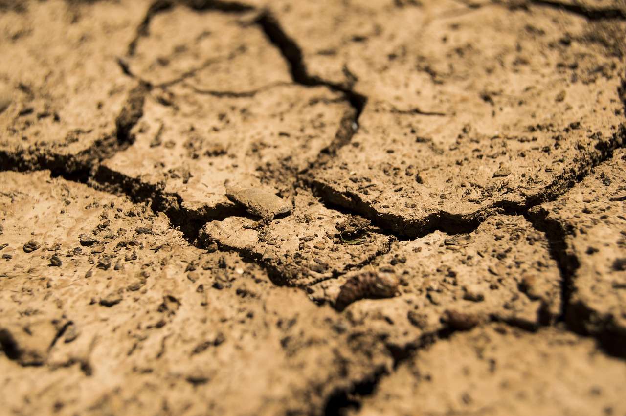 Sequía agricultura y ganadería