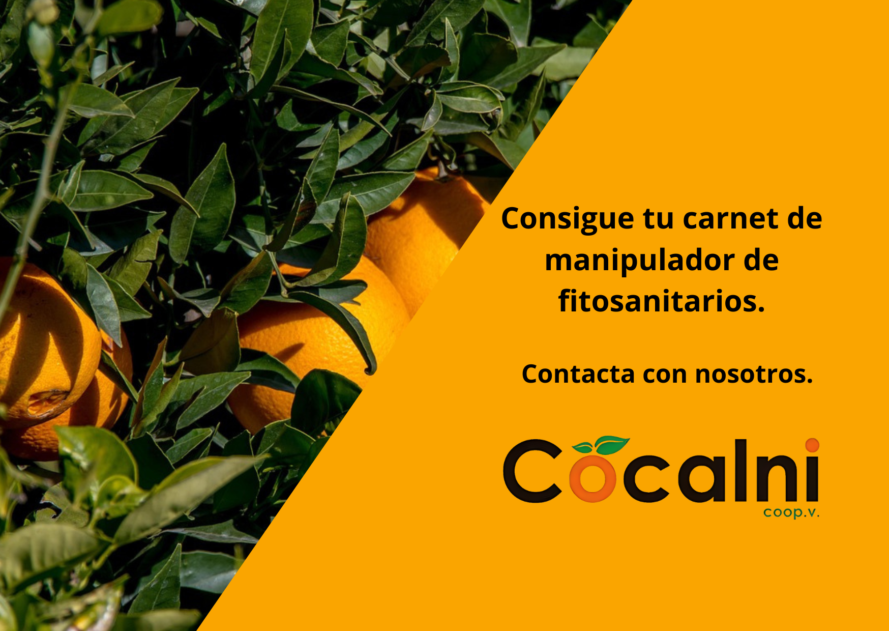 Consigue tu carnet de manipulador de fitosanitarios