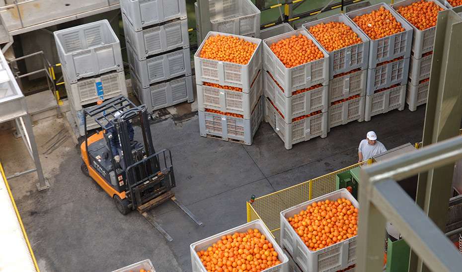 importaciones de mandarinas