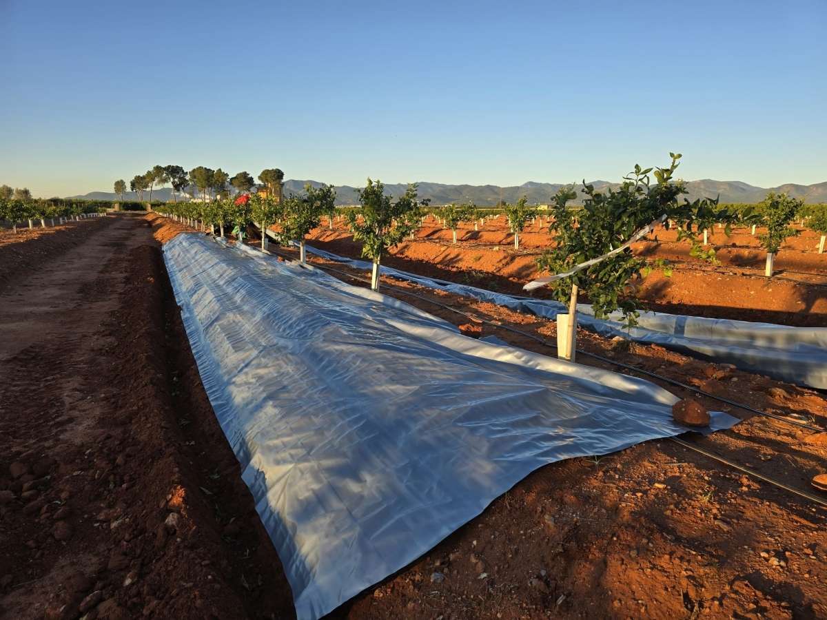 plásticos reflectantes contra las plagas