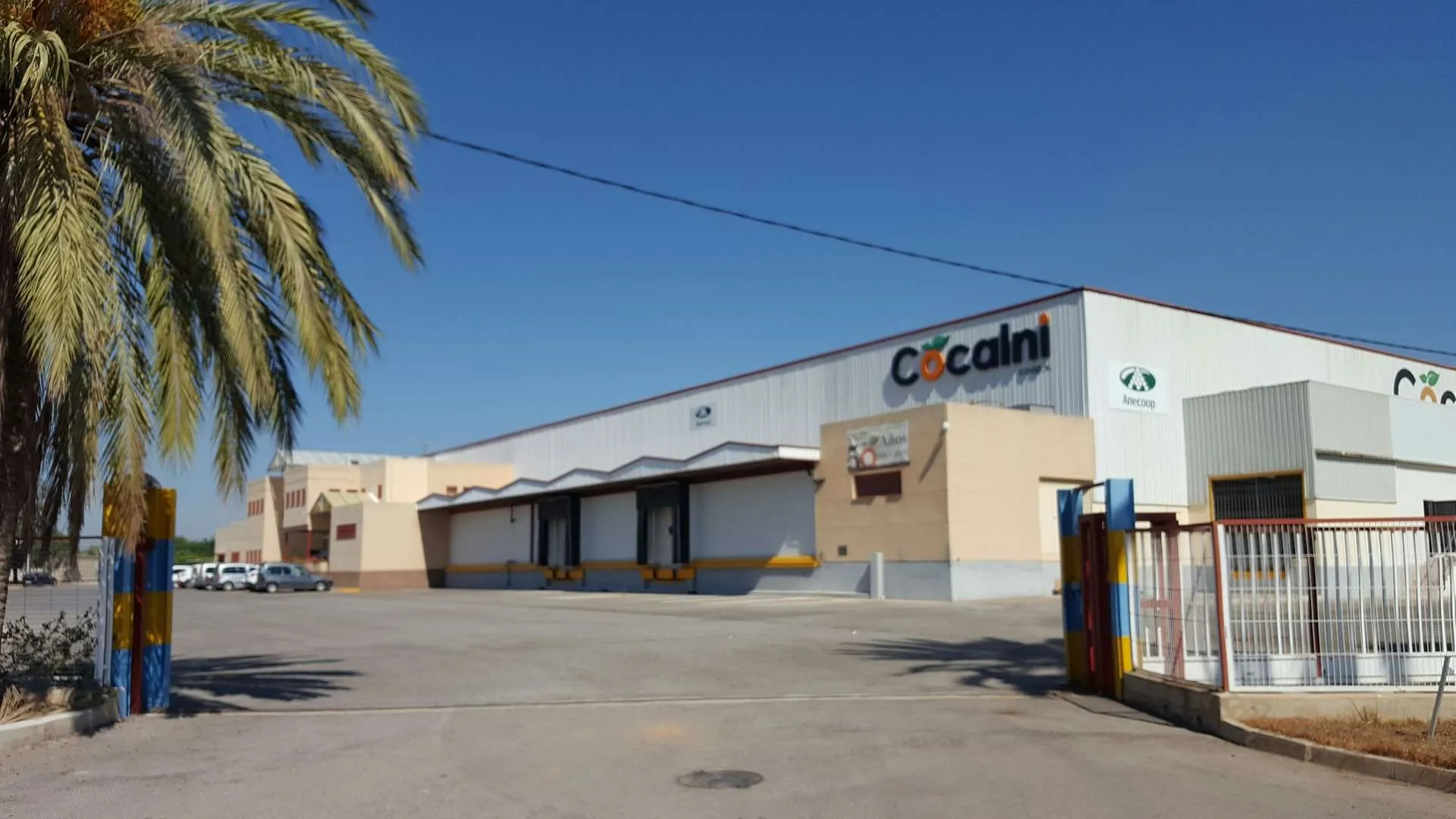 Cooperativas citrícolas