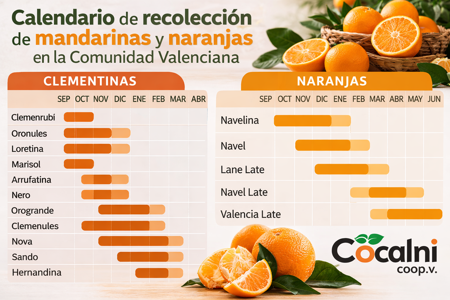 calendario de recolección de cítricos