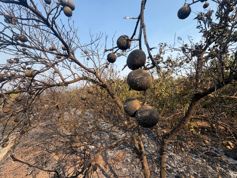 incendio serra espadá